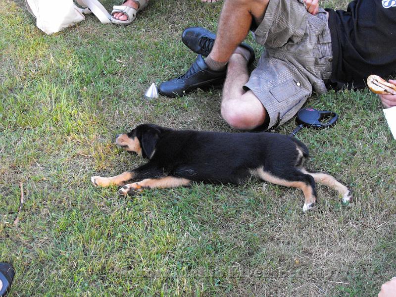 MCE Treffen 2010 - 027.jpg